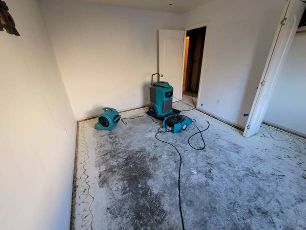 Best Water damage restoration company  in Salina, OK