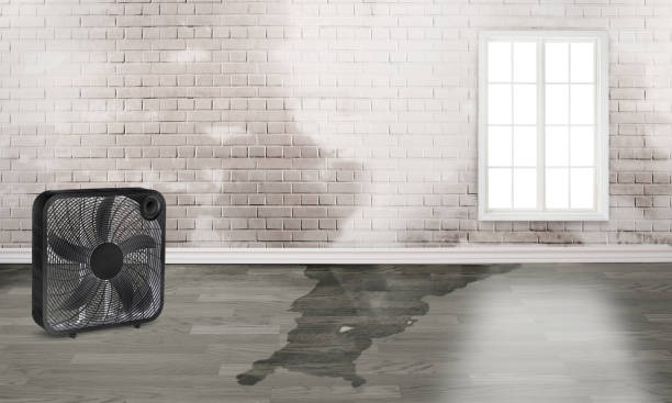 Best Flood damage cleanup  in Salina, OK