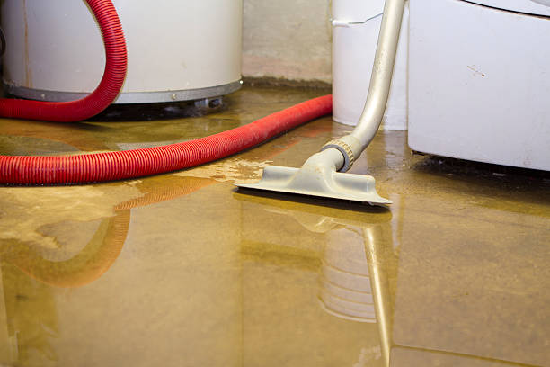 Best 24/7 water damage repair  in Salina, OK