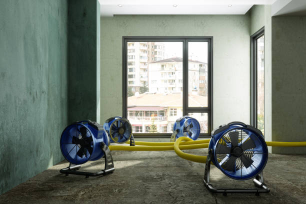 Best Water damage cleanup near me  in Salina, OK