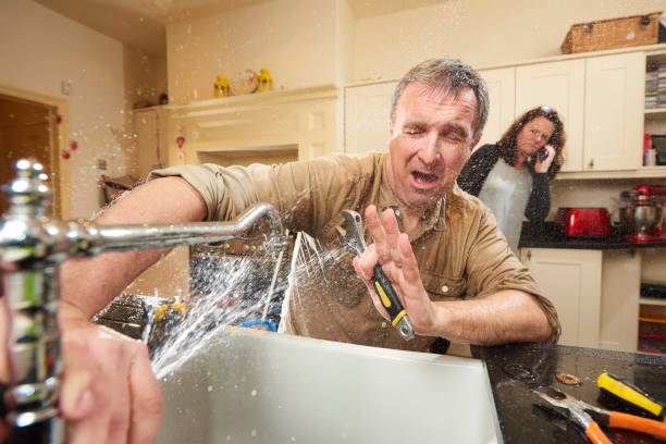 Best Mold removal after water damage  in Salina, OK